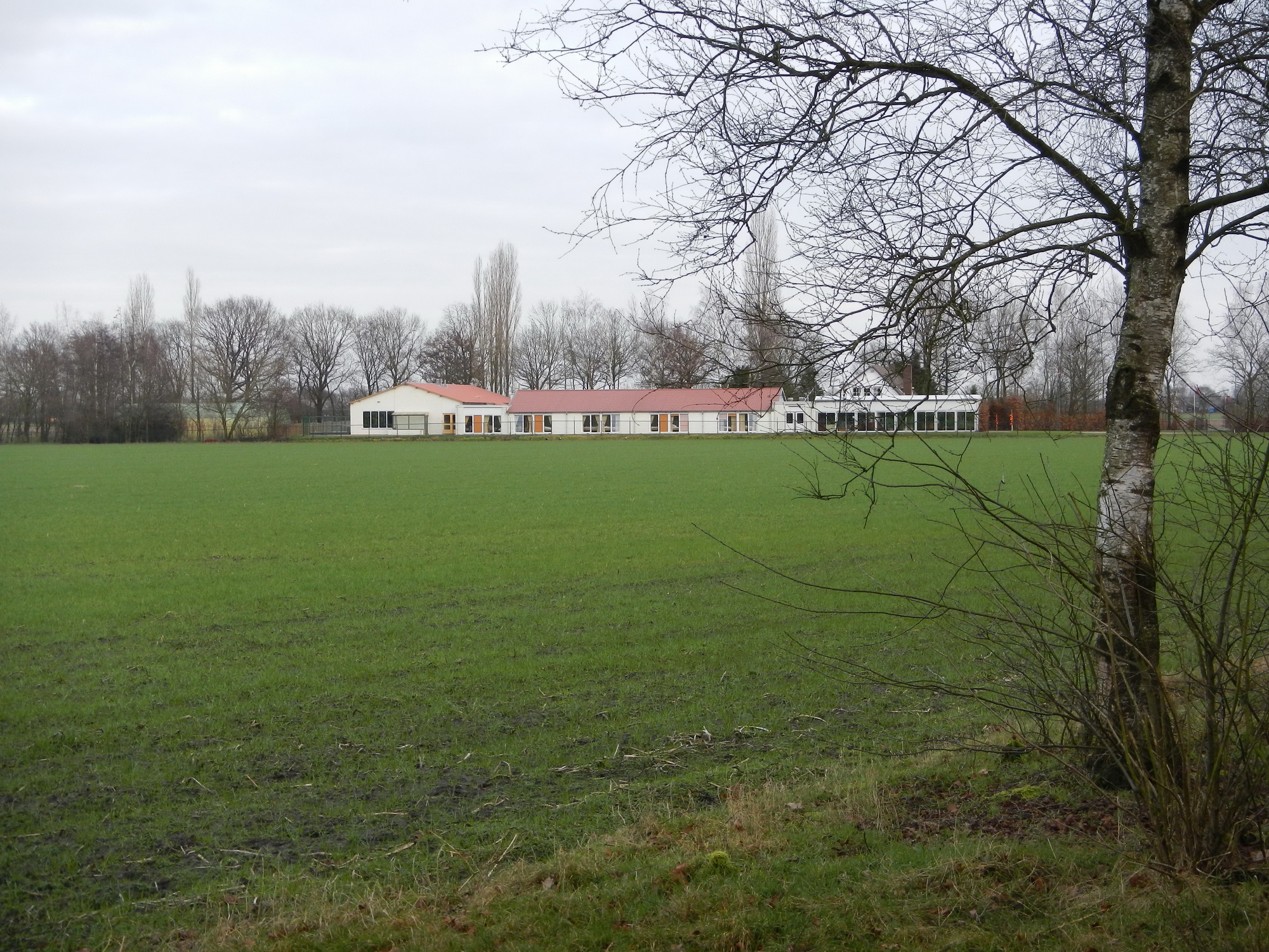NWK 2012 040.jpg